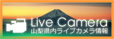 Live Camera