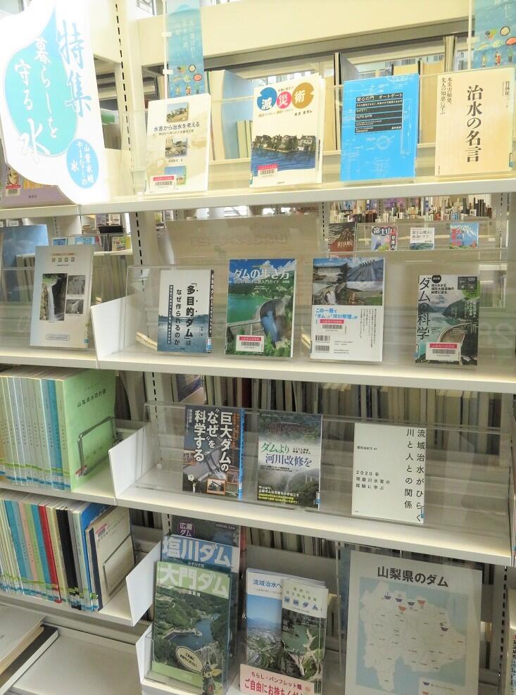 展示の様子